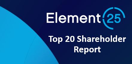E25 Top 20 Shareholder Report Icon