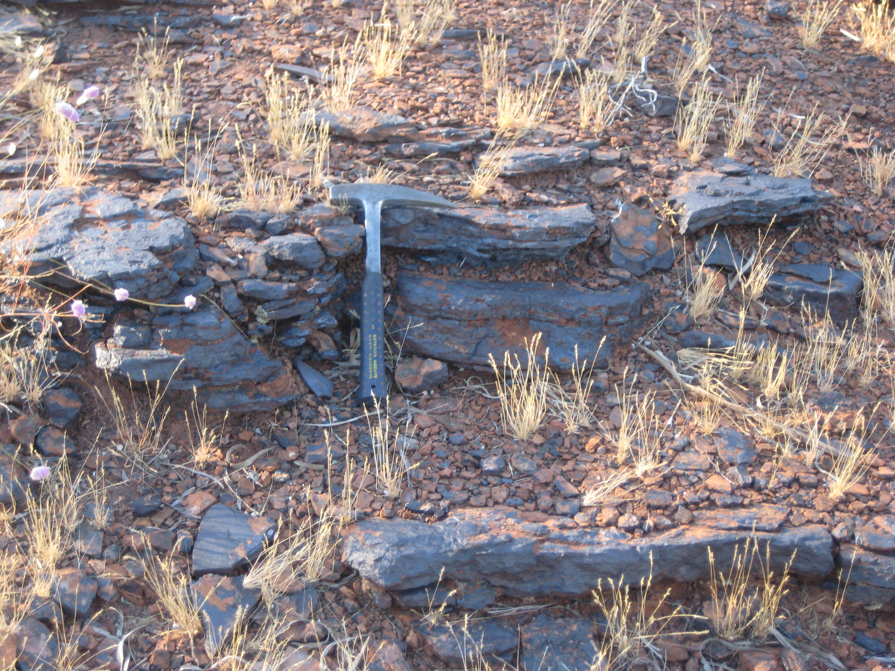 Outcropping manganese ore at the Butcherbird Project in Western Australia